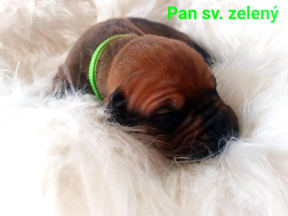 sv zeleny